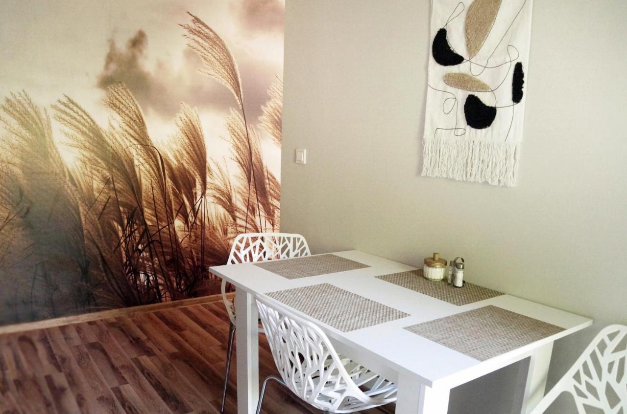 Apartament Zacisze 威利兹卡 外观 照片