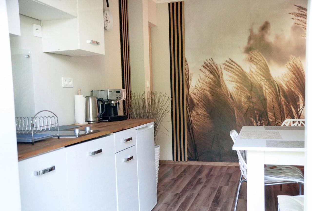 Apartament Zacisze 威利兹卡 外观 照片